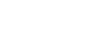 bayer2